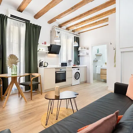 Appartement Almirall 31 *